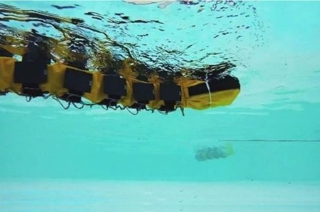 AgnathaX – новый плавающий робот, во всем подражающий морскому угрю