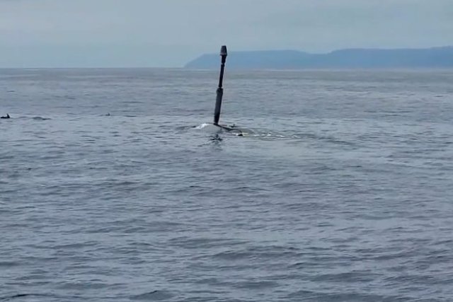 Беспилотный подводный аппарат Orca