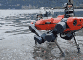 Четвероногий робот ANYmal прогулялся в озере