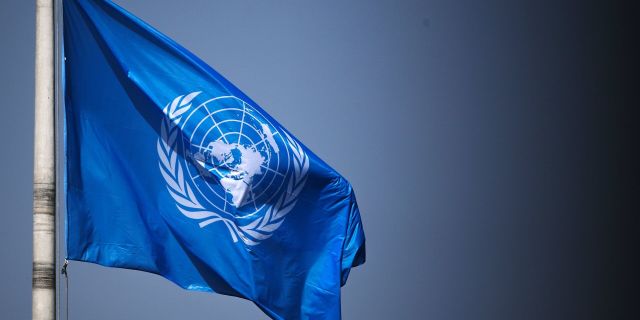 Флаг ООН на территории Дворца мира в Гааге