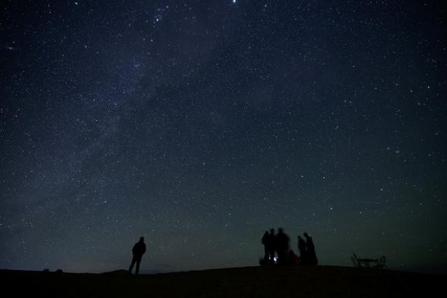 Фото: Darrin Zammit Lupi / Reuters