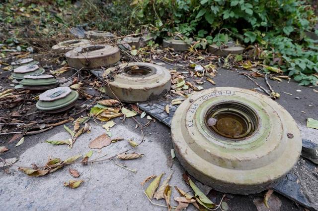 Фото: ТАСС/Дмитрий Ягодкин