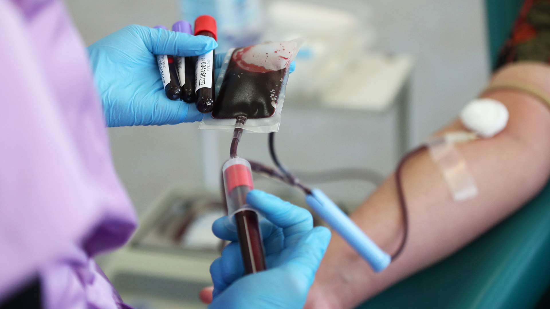 Blood to the rescue: how plasma therapy helps the recovery of wounded ...
