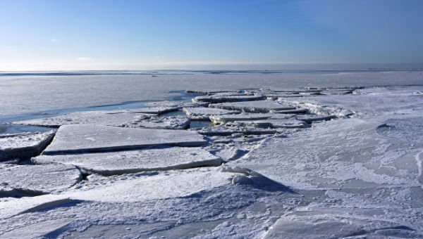 Лед на поверхности Финского залива. Архивное фото