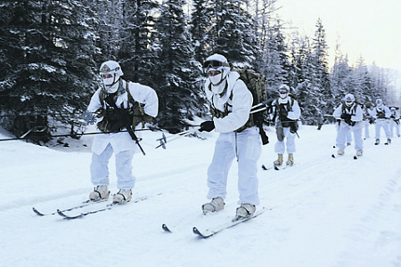 Лыжная подготовка – один из новаторских способов противостояния России. Фото с сайта www.army.mil