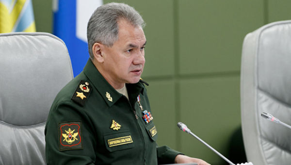 Министр обороны генерал армии Сергей Шойгу. Архивное фото