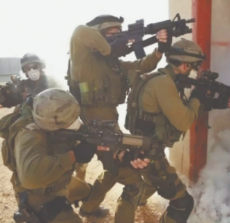 Обычно призывники с криминальным прошлым не зачисляются в элитные части Армии обороны Израиля, но исключения возможны. Фото с сайта www.israelhayom.co.il