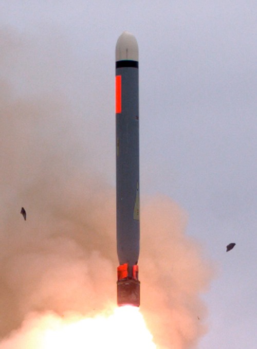 Первый испытательный запуск американской крылатой ракеты Tomahawk в варианте наземного базирования с подвижной пусковой установки с полигона на острове Сан-Николас на Тихоокеанском побережье США, 18.08.2019