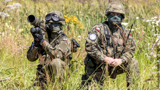 Польская армия: выглядит грозно, но хорошо ли воюет?
