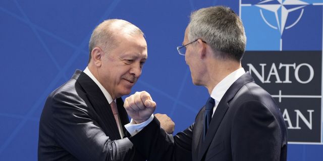 Президент Турции Реджеп Тайип Эрдоган и генеральный секретарь НАТО Йенс Столтенберг