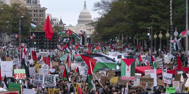 Пропалестинские протесты в Вашингтоне, США, 4 ноября 2023 год