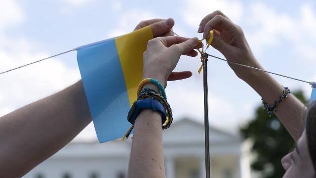 Проукраинские активисты возле Белого дома США