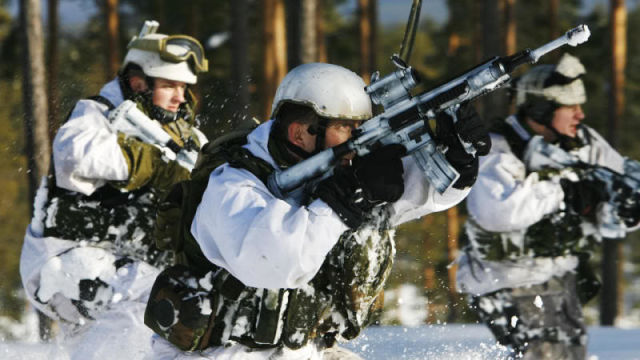 Механизированный батальон Telemark, Норвегия