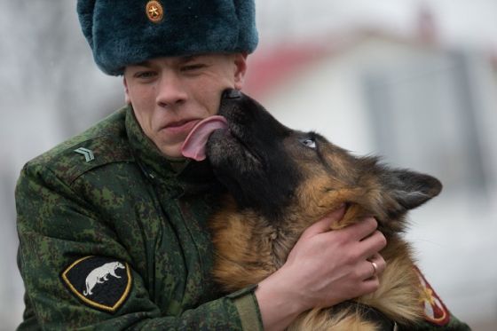 Военнослужащий с собакой