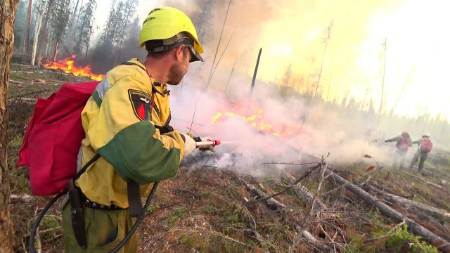 Сотрудники "Авиалесоохраны" проводят противопожарные мероприятия для препятствия распространения лесных пожаров в Красноярском крае. Стоп-кадр видео
