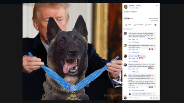 Трамп уверяет, что скоро лично наградит пса Кэнона в Белом доме