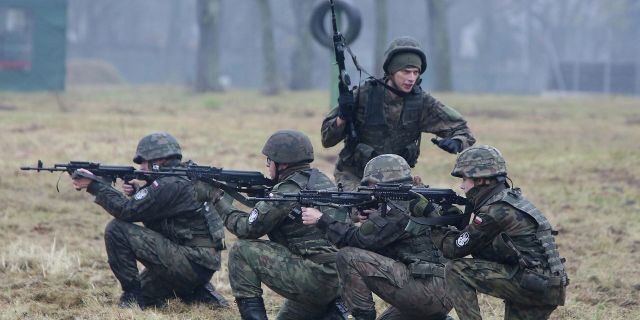 Тренировка сил территориальной обороны на военном полигоне в Минске-Мазовецком, Польша