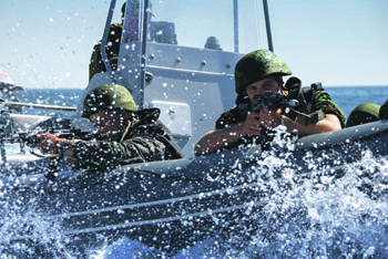 Универсальные десантные корабли существенно усилят мобильность частей постоянной боевой готовности. Фото с сайта www.mil.ru