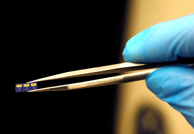 Внешний вид микрочипа с биооптоэлектронным транзистором. Источник: пресс служба МИЭТ