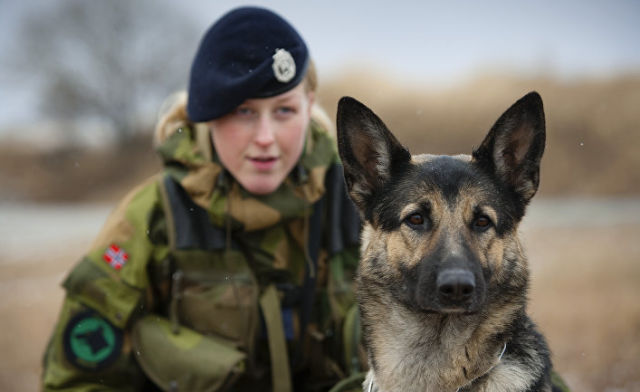 Женщина — офицер норвежских ВВС и собака